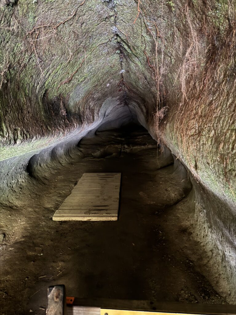 Okere Falls Cave